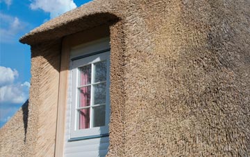 Shiney Row thatch roof disadvantages